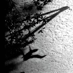 Max Richter: On The Nature Of Daylight (piano arrangement)