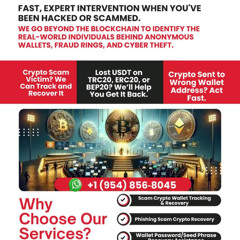 HOW TO SECURE AND RECOVER YOUR STOLEN DIGITAL ASSETS/ DIGITAL LIGHT SOLUTION