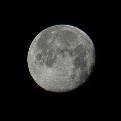 Lunar Shuffle