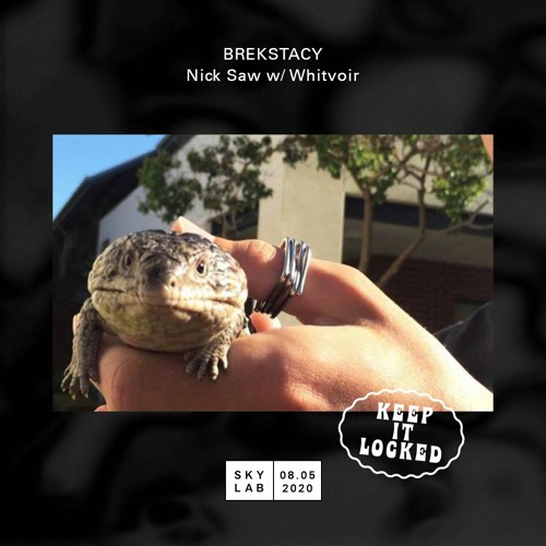 Skylab Radio - Brekstacy