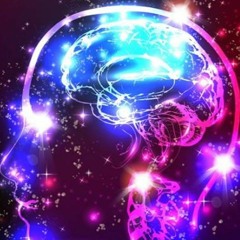 Mindtrip