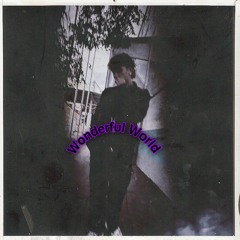 Wonderful World (prod. Fukk2BeatzIII)