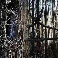 ⃝𖤐LUCIFERWHØTØRIS