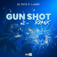 Dj Tix's X LANDY - Gun Shot Remix