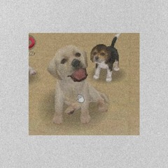 nintendogs shopping theme but i made it a cool beat