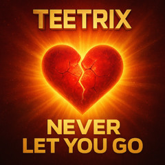 Never Let You Go (Radio Edit)