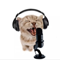 DUMBASS CAT SONG
