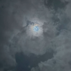 "لمستي قلبيّ"