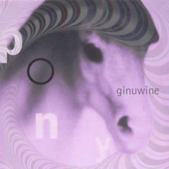 Pony - Ginuwine  (High V3locity Flip) Pony Dub