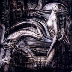 Reaching Biomechanik Transcendence - Gabberland Afterhour Recap