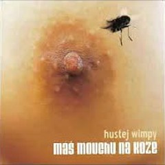 Hustej Wimpy -Jsem oblíbená mezi klukama (Reupload)
