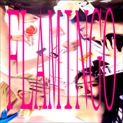 nettspend  type beat Flamingo