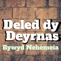 Nehemeia 2: Cynllun Strategol