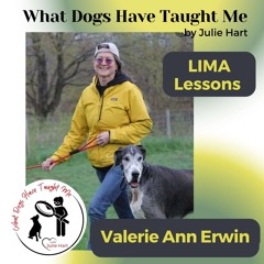 LIMA Lessons with Valerie Ann Erwin