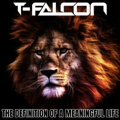 The Definition Of A Meaningful Life (Instrumental) [Radio Edit]