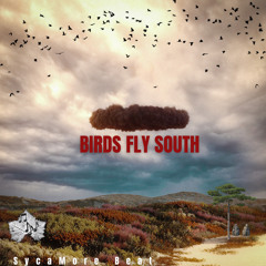 Birds Fly South