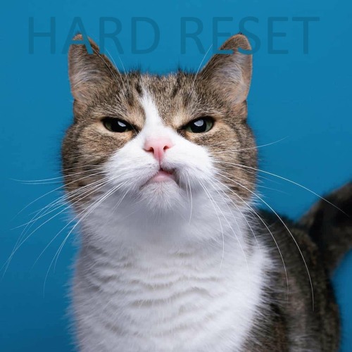 Beyoncé & Linda Martell & Shaboozey Vs. Nasty C & Translee (Catch The SPAGHETTII King)