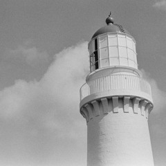 Jersey Giant (cover)