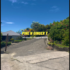 Pine N Ginger X (Afrobeats/Reggae Party Blends 2025🍍 ) *2 Hour Mix*