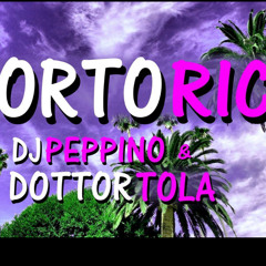 Peppino Deejay - Portorico (feat. Dottor Tola)