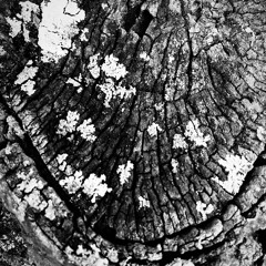 Campo De Batalha 130BPM (R$100)