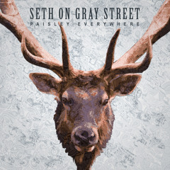 Seth On Gray Street - Babes Go Spastic (feat. TWO STORY & Influence)