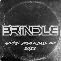 Autumn Drum & Bass Mix 2022