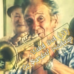 Valul Doi (2) - Cu Șurubu' Mashup