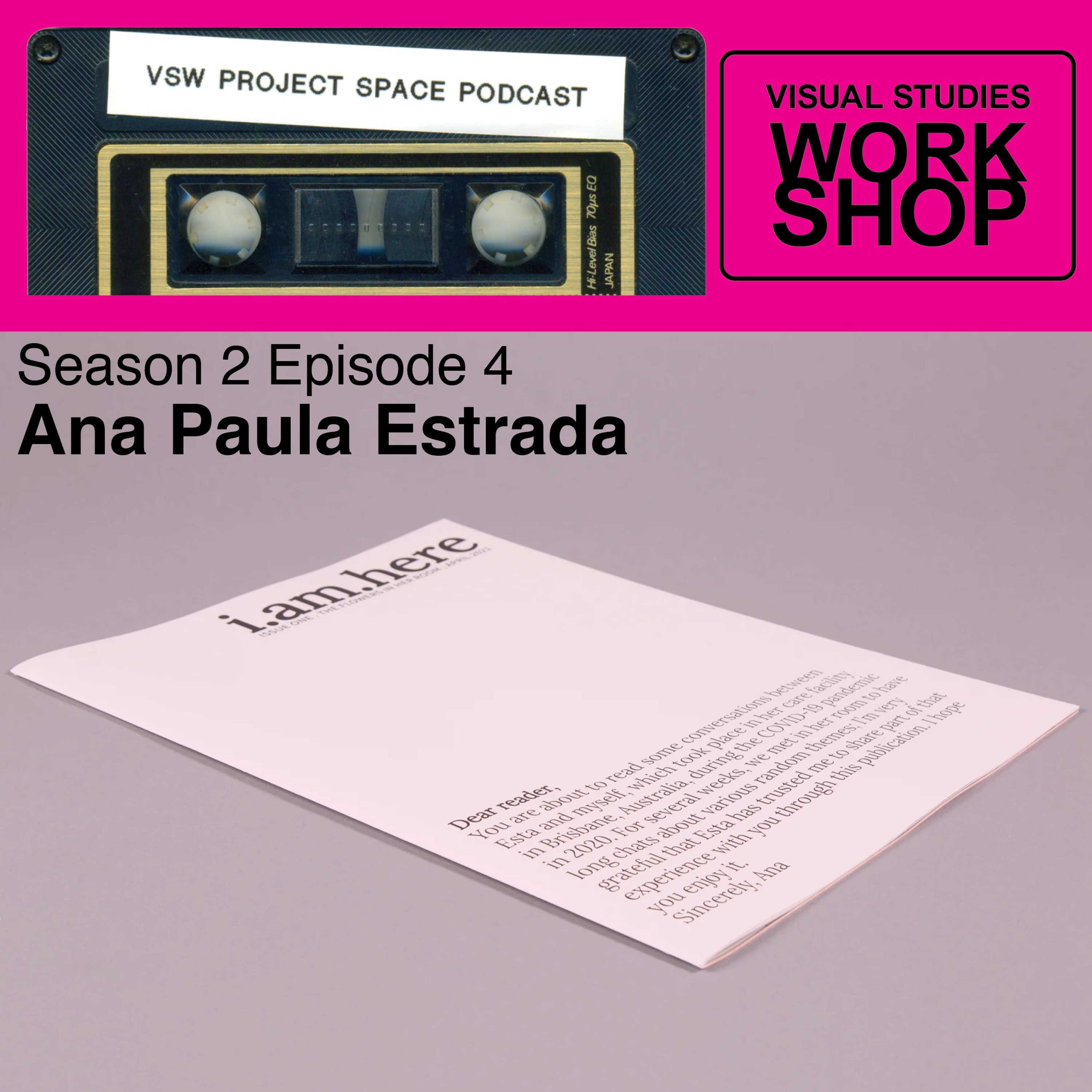 VSW Project Space Podcast