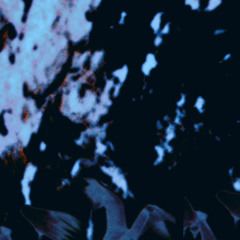 active forgetting