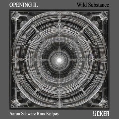 Lost In Ether | P R E M I E R E | Aaron Schwarz - Raven S Eye (Kølpøs Remix) [UCKER]