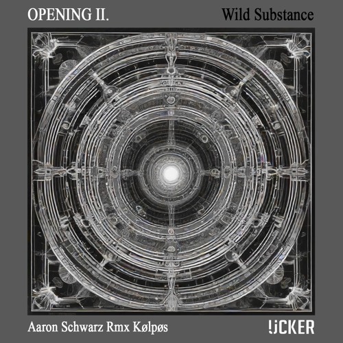 Lost In Ether | P R E M I E R E | Aaron Schwarz - Raven S Eye (Kølpøs Remix) [UCKER]