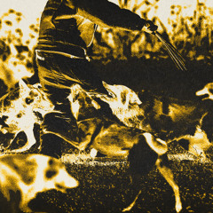 ramzy clips / octubre y noviembre 2025