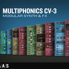 aas-multiphonics-cv-3-demo4-adam-pietruszko-master-drive