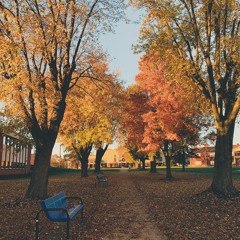 Autumn's Song(feat. Danielle Douglas)