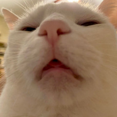 Hẹn Em Vào Ngày Mưa Cuối (OXI Remix) - Đặng Vĩnh Thịnh x H2O