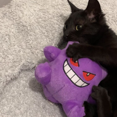 TRUST ME! 2 + luvdrww