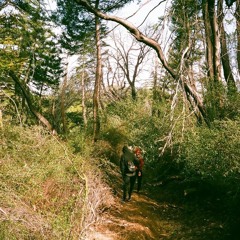 Energy Fleets (King Krule)