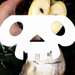 OWLS +grey+comanati+synthwrkr+north+extra+sochi