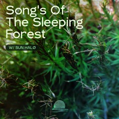 Song's Of The Sleeping Forest w/ Sun Halø