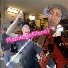FlamingoDisco?#Olle&MöllensPsyklirdänga