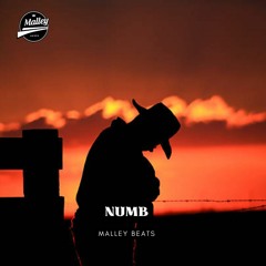 (FREE) COUNTRY RAP TYPE BEAT - "NUMB" | FREE EMO RAP TYPE BEAT 2023 | COUNTRY INSTRUMENTAL