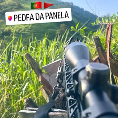 MC CARIOCA = ORIGINAL vs FAVELA DO GARDÊNIA  [ DJ'S JV E CL DO TREM BALA ] 2025