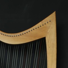 I Wanted to Leave (Harp cover)