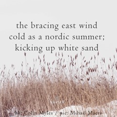 haiku #457: the bracing east wind / cold as a nordic summer; / kicking up white sand