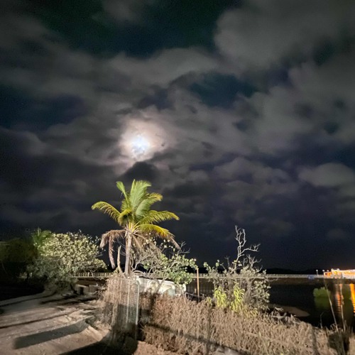 𝐁𝐢𝐠𝐃𝐚𝐧𝐜𝐞𝐫ʳᵐˣ.m4a🔥🍻