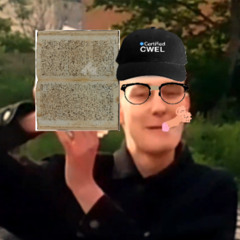 narodowe czytanie wierszykuw