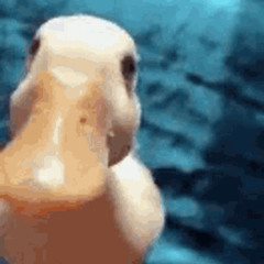 off ur love prod xeto