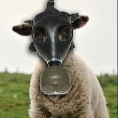 COVID 19 - Feat. Bridger Fox & Saucestin