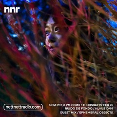 Ruido de Fondo EP 49 - ephemeral objects - nettnett radio (nnr)